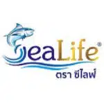 logo result size fix-52