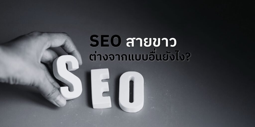 รับทำ SEO สายขาว