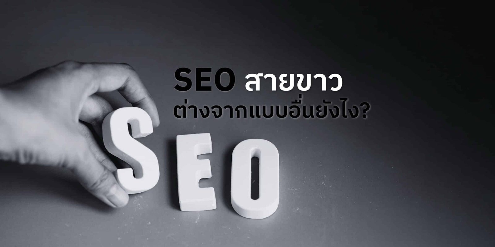 รับทำ SEO สายขาว